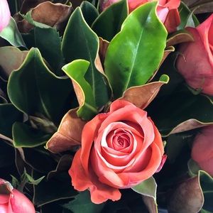 Meet your Posher, Briony